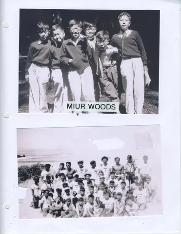 Trips to Muir Woods and the beach